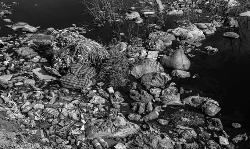 Les infractions environnementales épargnées par le Conseil constitutionnel Les infractions environnementales épargnées par le Conseil constitutionnel