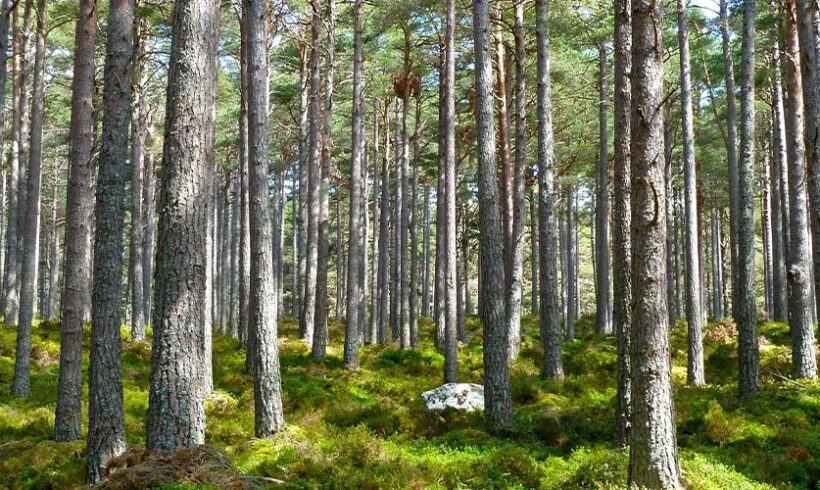 Une première : une sanction modulée de la charte de l’environnement par le conseil constitutionnel ! Une première : une sanction modulée de la charte de l’environnement par le conseil constitutionnel !