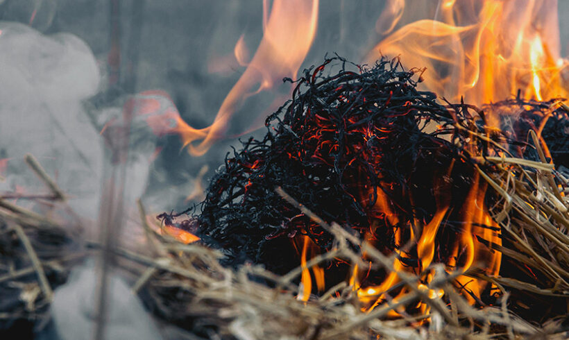 Déchets verts: l’interdiction de brûlage à l’air libre rappelée par circulaire Déchets verts: l’interdiction de brûlage à l’air libre rappelée par circulaire