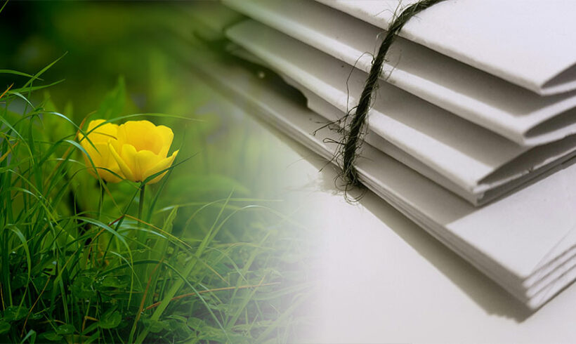 Etat d&rsquo;avancement de la mise en oeuvre du Grenelle de l&rsquo;environnement : troisième rapport annuel