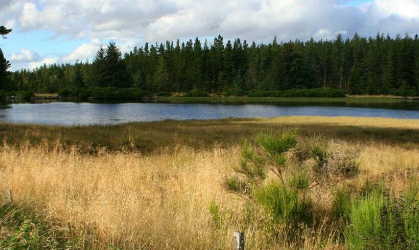 Réserves naturelles régionales : un projet d’ordonnance Réserves naturelles régionales : un projet d’ordonnance