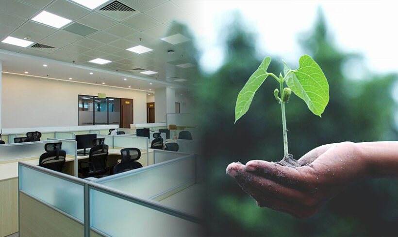 Baux verts: le contenu de l&rsquo;annexe environnementale est paru