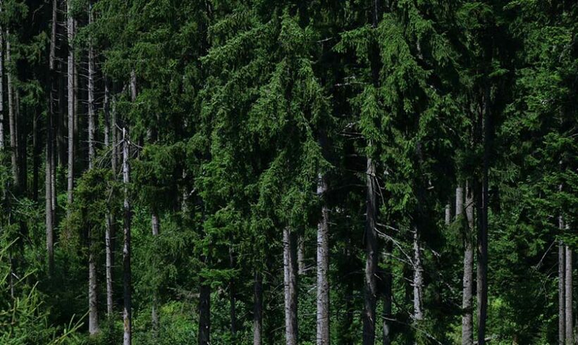 Parcs nationaux: observations sur la modernisation de la réglementation applicable