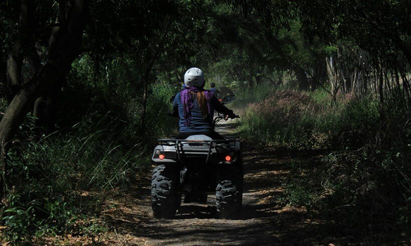 Le quadeur, une nouvelle espèce en voie de disparition