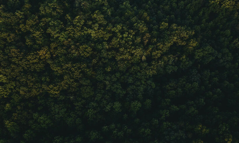 Parcs naturels régionaux: modification du régime par le décret n° 2012-83 du 24 janvier 2012 Parcs naturels régionaux: modification du régime par le décret n° 2012-83 du 24 janvier 2012