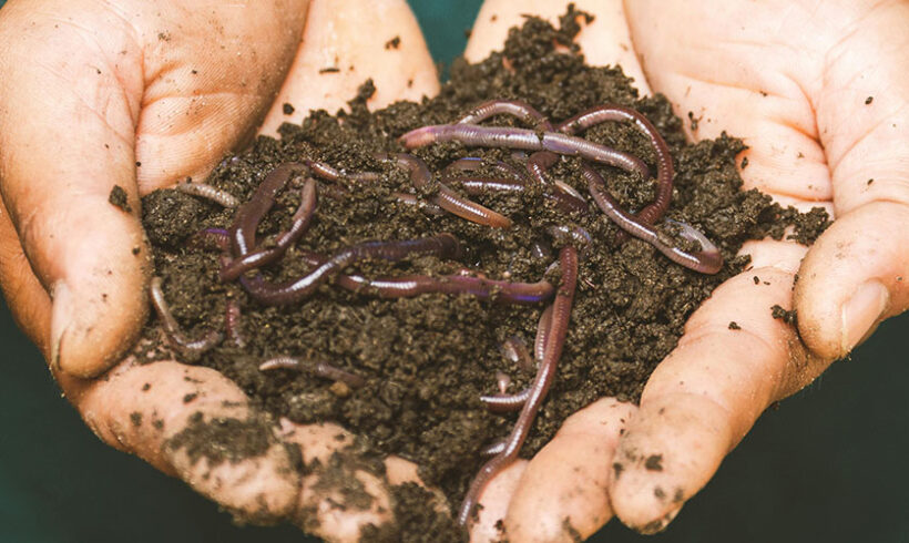 ICPE: modification de la nomenclature (déchets,compostage, produits alimentaires, OGM)