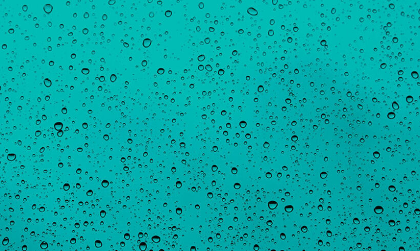 Humidité et vice caché : précisions quant au caractère caché du vice