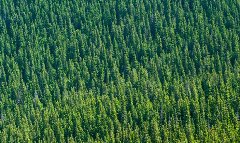 Parcs naturels régionaux: analyse d&rsquo;une directive « Crédit foncier de France » du 04 mai 2012