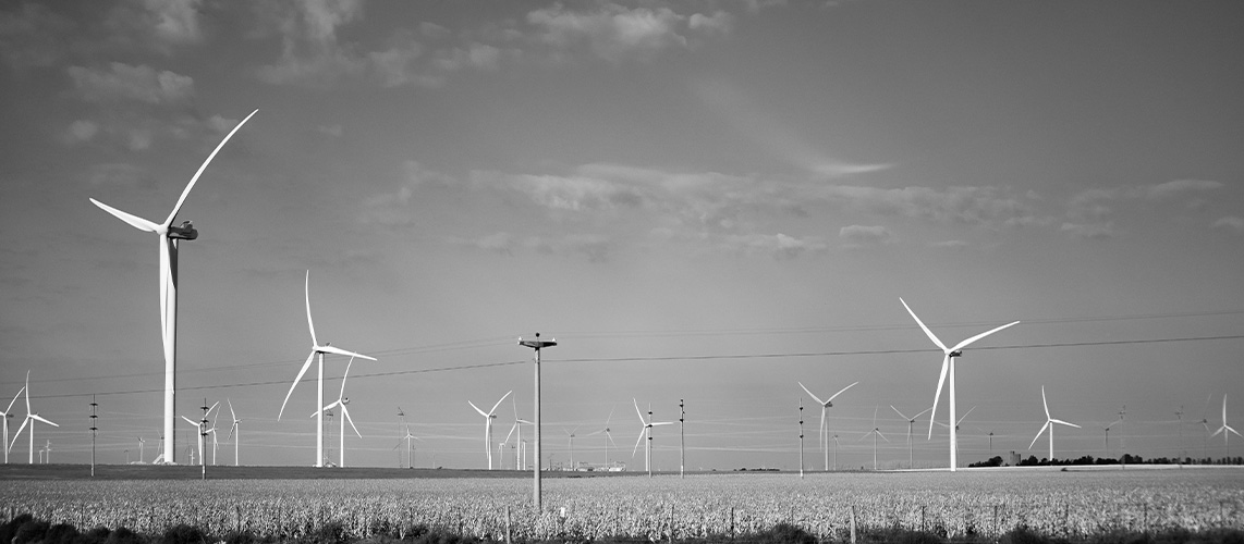 éoliennes noir et blanc prairie
