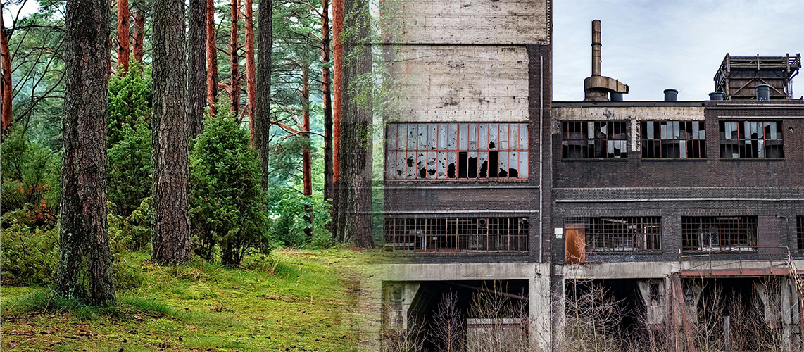 usine zone naturelle