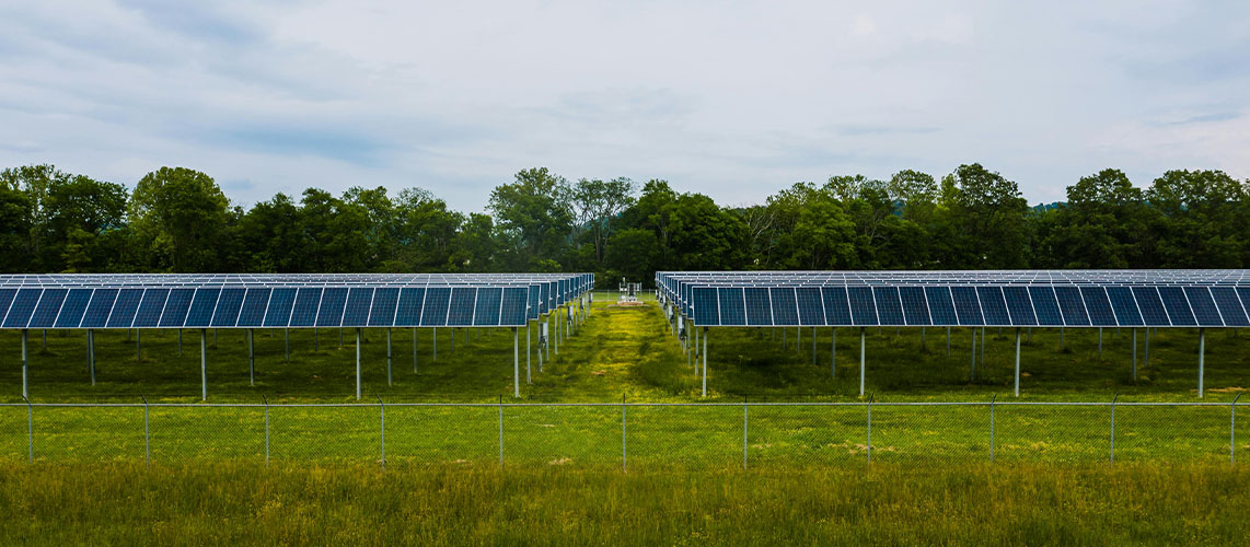panneau photovoltaïque champ