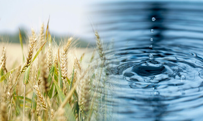 Pollution agricole des eaux : programme d’action et zonages pataugent dans le contentieux