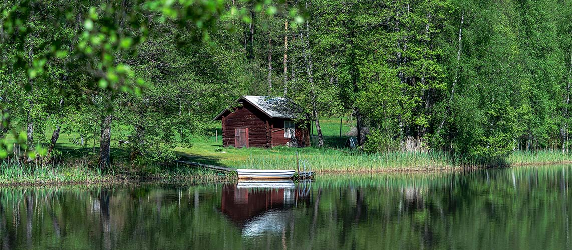 zone humide marais étang cabane