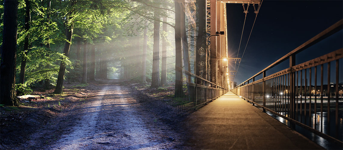 urbain pont chemin forêt