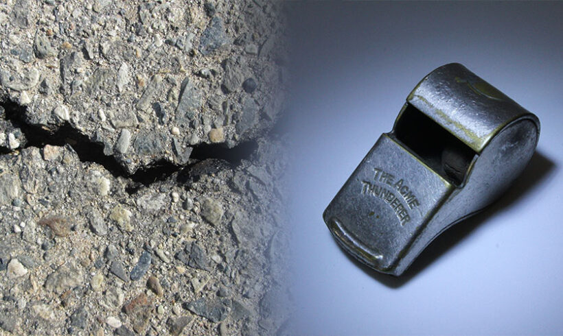 P.P.R.N. SANS LE PUBLIC NI LA CHARTE … LE CONSEIL SIFFLE LA FIN DE LA PARTICIPATION