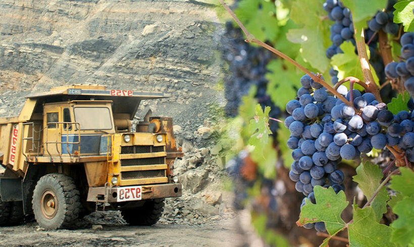 ICPE et Information du public : quand la jurisprudence Danthony vient au secours des exploitants viticoles au détriment des exploitants de carrières (CAA Marseille 19 mai 2015)