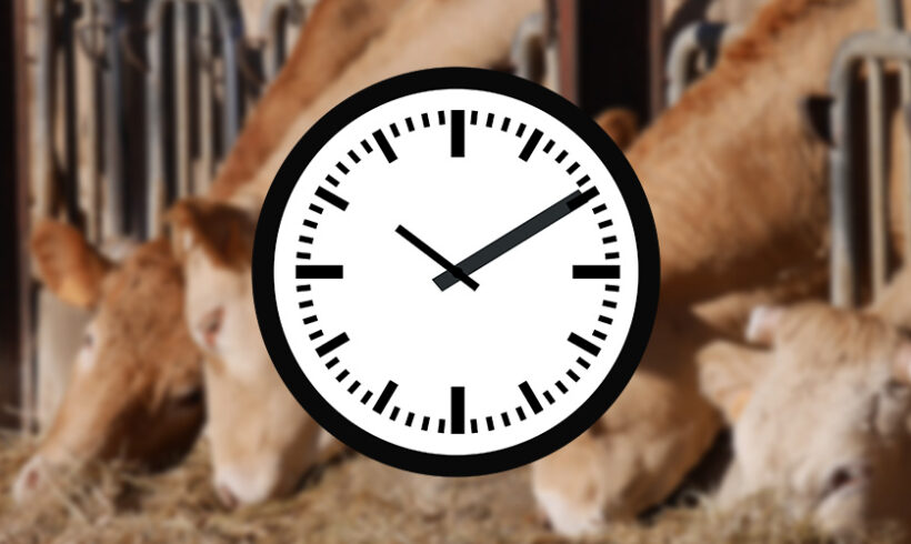 Elevages: le délai de recours réduit à 4 mois va t-il survivre aux discussions parlementaires relatives au projet de loi Macron?