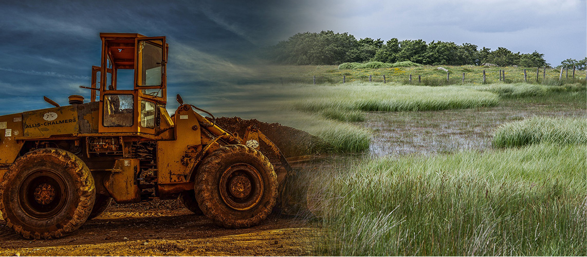 remblais bulldozer zone humide