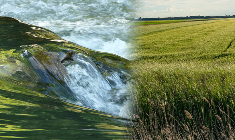 Irrigation agricole et autorisation unique pluriannuelle de prélèvement d’eau : le ministère de l’Ecologie souhaite une accélération des instructions