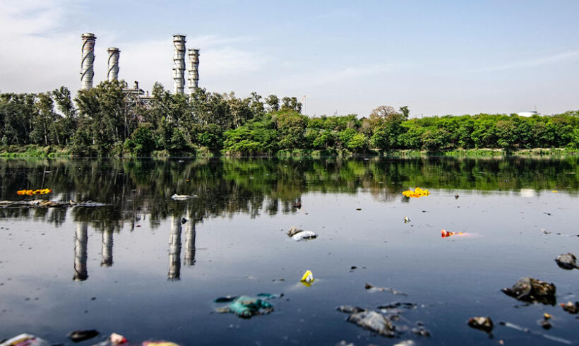 L’inscription imminente du préjudice écologique dans le Code civil et l&rsquo;action en réparation qui en découle