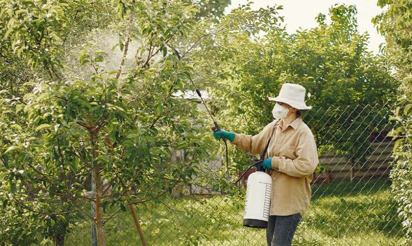 Mise à distance de l’épandage des phytosanitaires : un nouveau projet d’arrêté