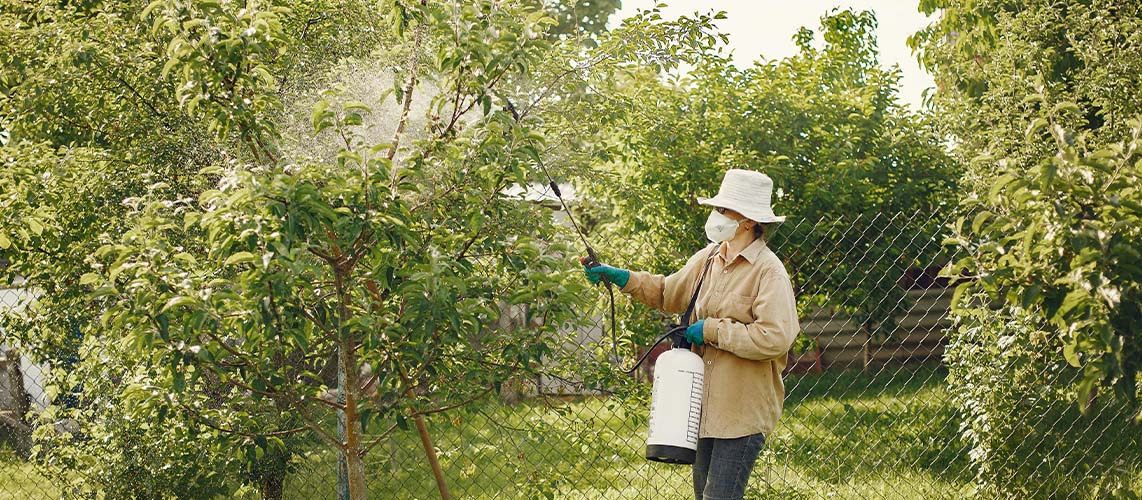 produit phytosanitaire arbre