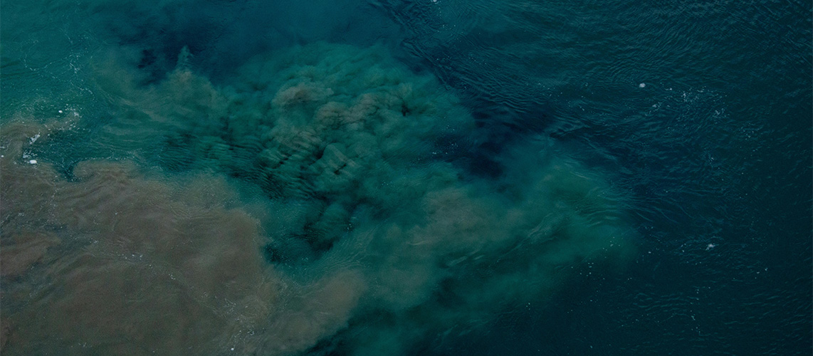 pollution marée noire