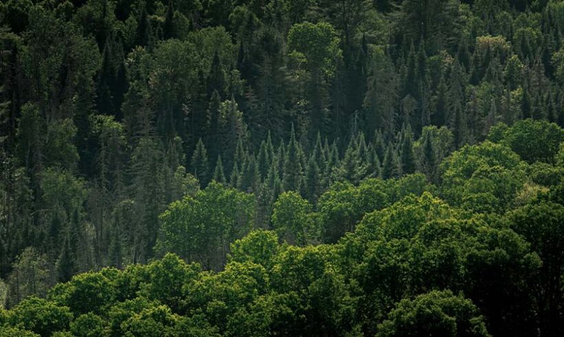 Recommandations de la Cour des comptes européenne sur l’exploitation du réseau Natura 2000 Recommandations de la Cour des comptes européenne sur l’exploitation du réseau Natura 2000