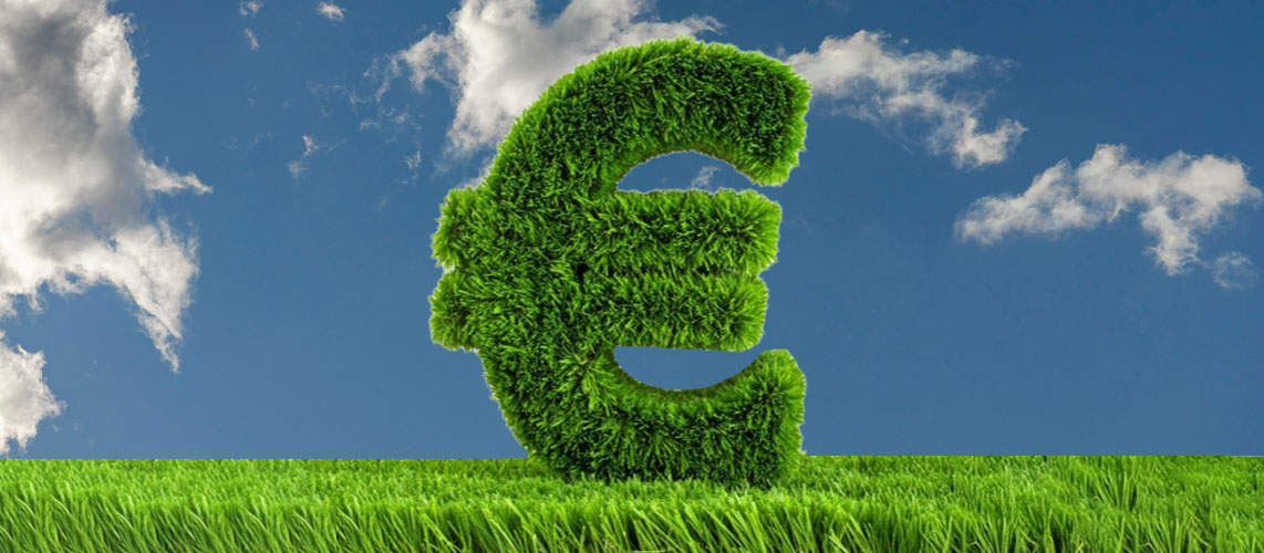 euro en herbe capacité financière