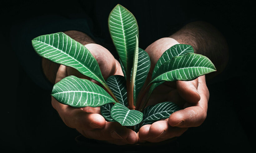 Linscription de la préservation de l’environnement, de la biodiversité et du climat à l’article 1er de la Constitution Linscription de la préservation de l’environnement, de la biodiversité et du climat à l’article 1er de la Constitution
