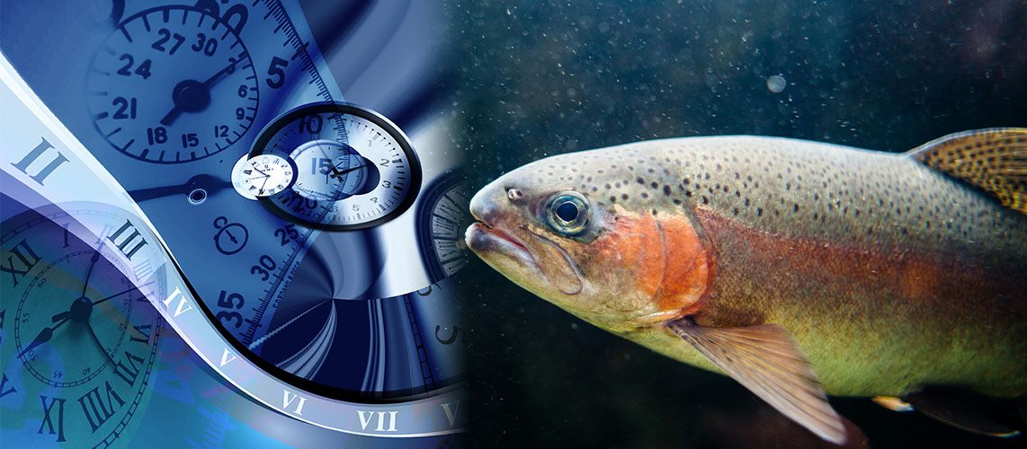 droit d'antériorité poisson