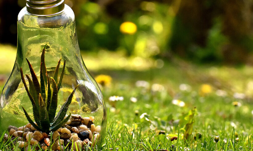 Publication d’un ouvrage sur la responsabilité environnementale et son assurance