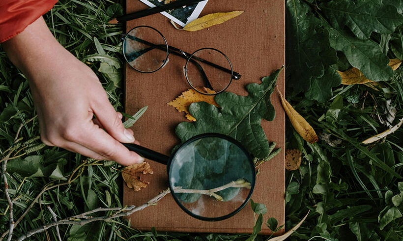 Irrégularités de l’enquête publique locale : l&rsquo;Etat non-responsable