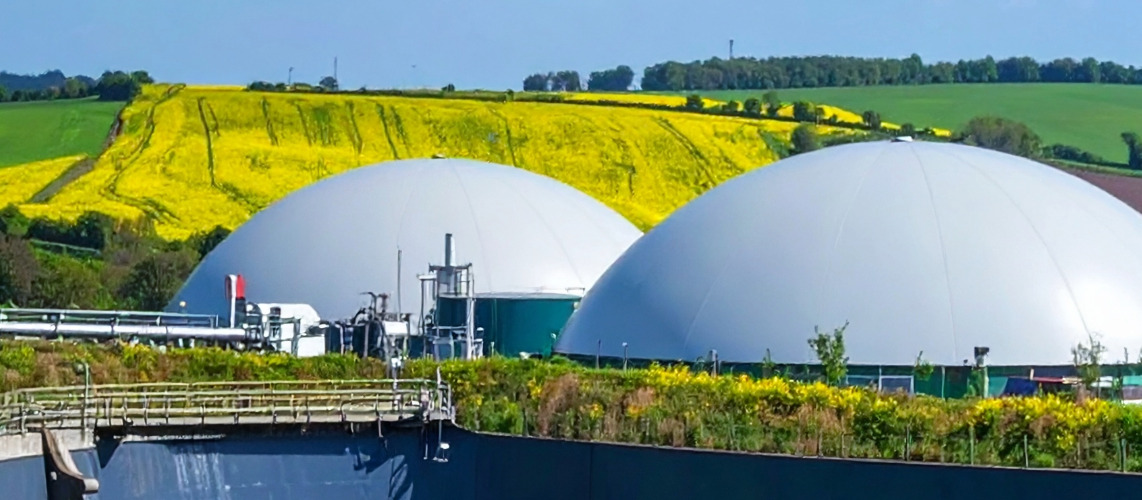 méthanisation colza