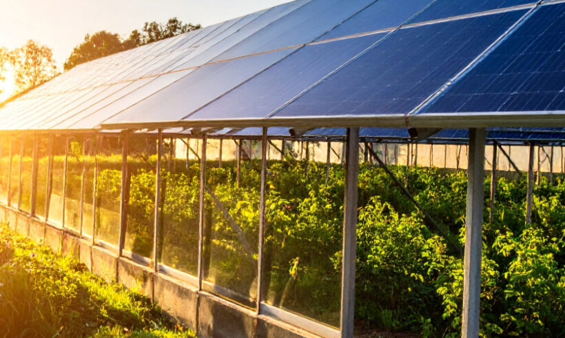 Serres agrivoltaïques : leur simple couverture ne remet pas en cause la destination agrirole