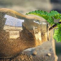 Le projet de décret sur l’Ae en consultation