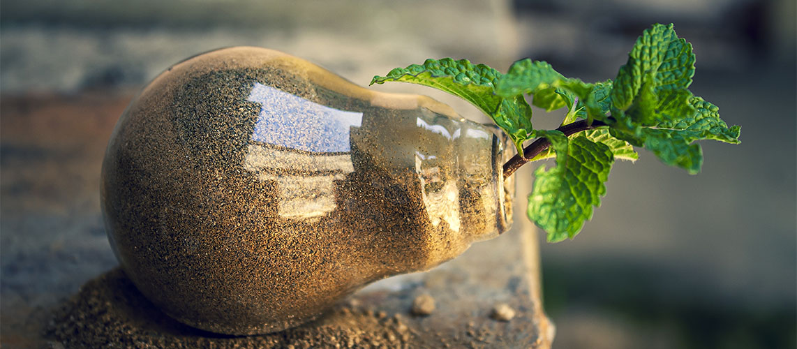 ampoule sable plante