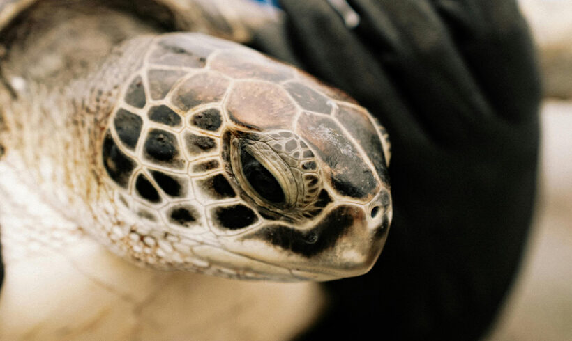 Sanction administrative : la suspension suspendue Sanction administrative : la suspension suspendue