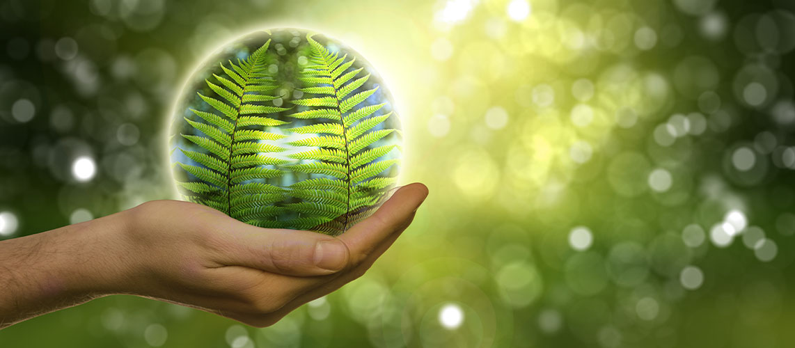 principe non régression icpe