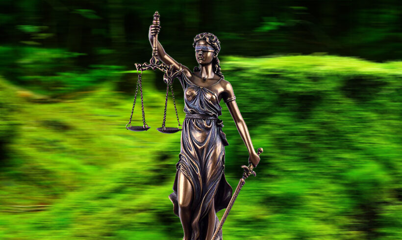 Le juge accélérateur des procédures environnementales