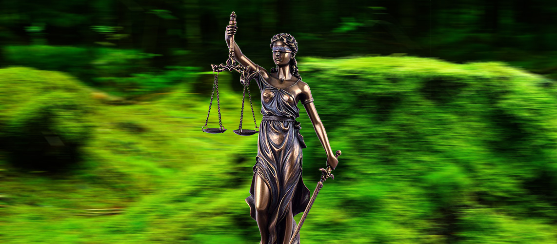 justice accélération procédure