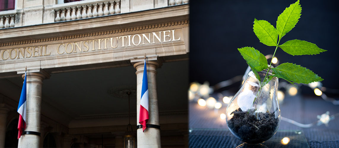 conseil constitutionnel feuille ampoule