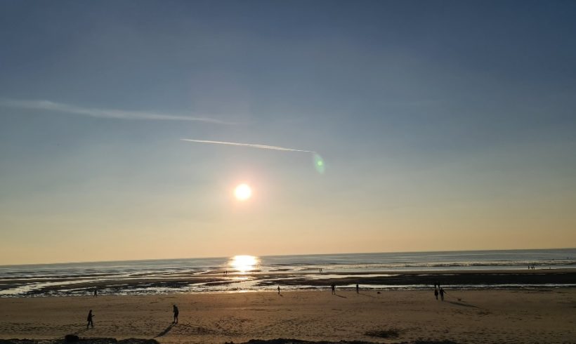 Le front de mer stellien a la dent dure ! Le front de mer stellien a la dent dure !