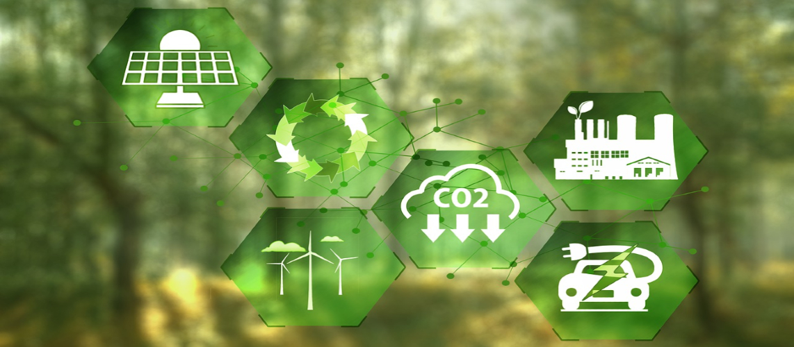 énergies renouvelables forêt