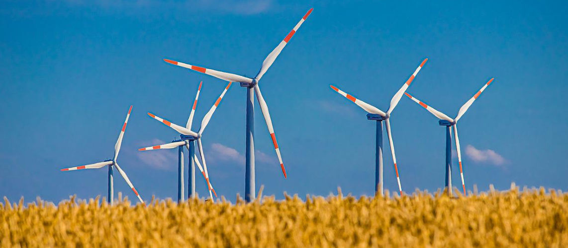 éoliennes champ