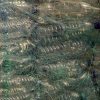 Déchets plastiques à usage unique : un Etat exemplaire par anticipation