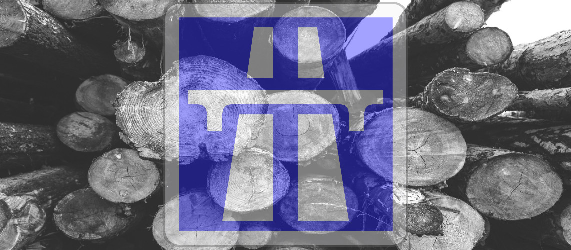 bois coupé autoroute