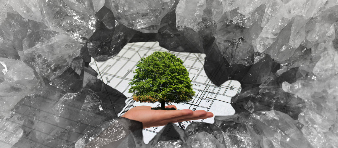 cristallisation plan arbre