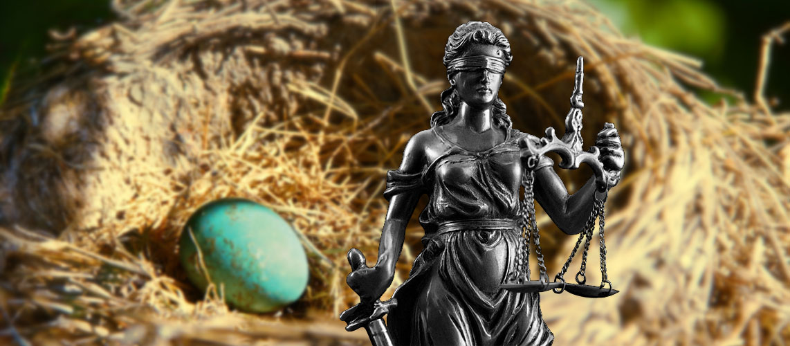 justice espèces protégées