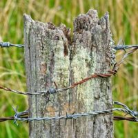 Engrillagement transparent d’espaces naturels : l’administration n’a pas à en attester